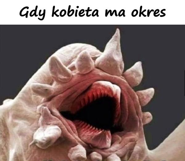 Gdy kobieta ma okres