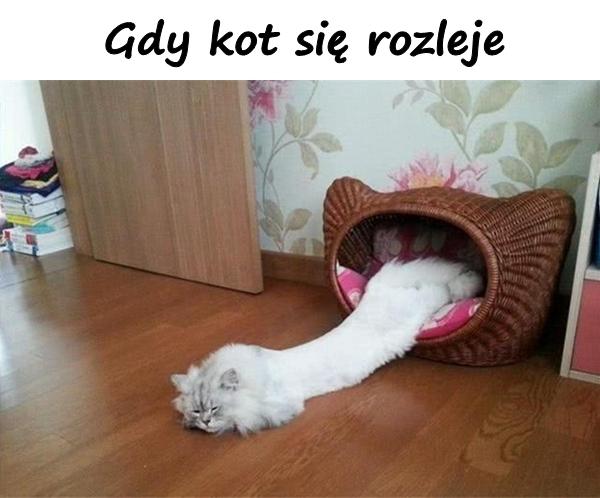 Gdy kot się rozleje