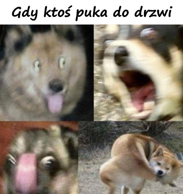 Gdy ktoś puka do drzwi