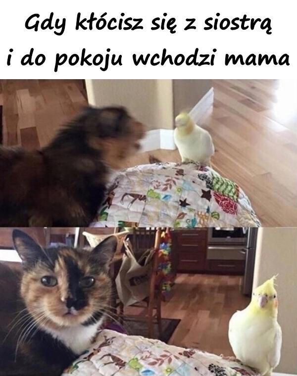 Gdy kłócisz się z siostrą i do pokoju wchodzi mama