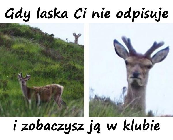 Gdy laska Ci nie odpisuje i zobaczysz ją w klubie