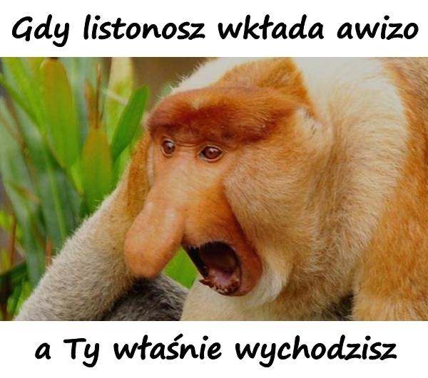 Gdy listonosz wkłada awizo, a Ty właśnie wychodzisz