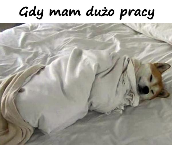 Gdy mam dużo pracy