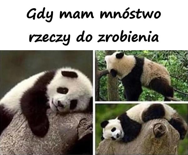 Gdy mam mnóstwo rzeczy do zrobienia