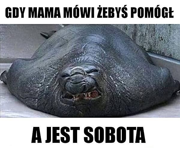 Gdy mama mówi żebyś pomógł, a jest sobota