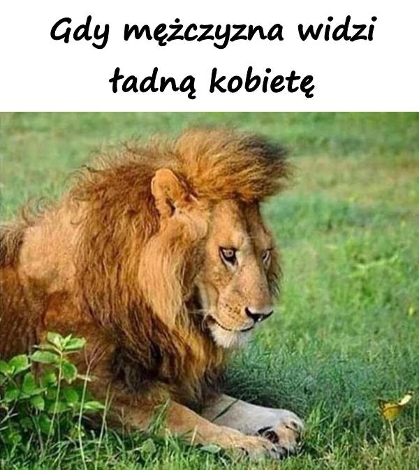 Gdy mężczyzna widzi ładną kobietę