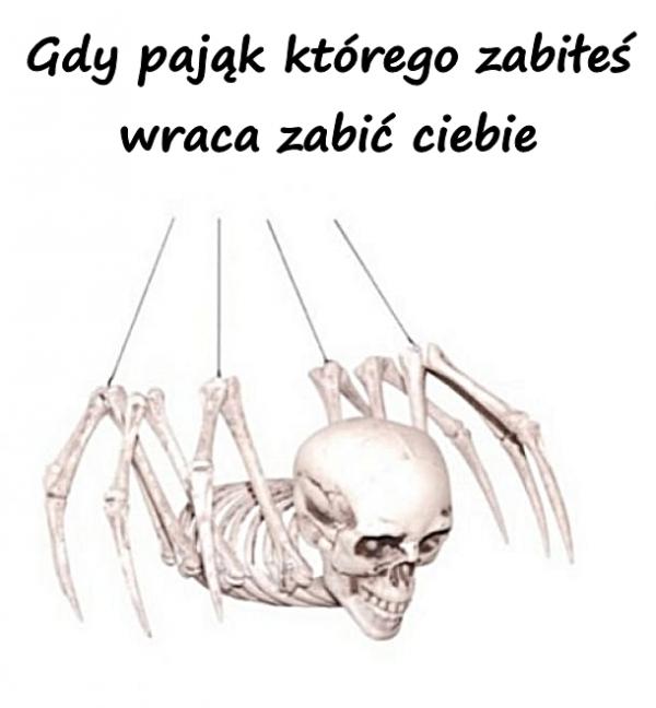 Gdy pająk którego zabiłeś wraca zabić ciebie