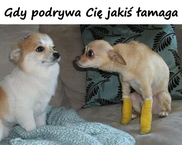 Gdy podrywa Cię jakiś łamaga