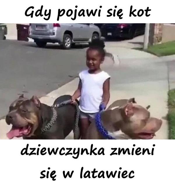 Gdy pojawi się kot dziewczynka zmieni się w latawiec