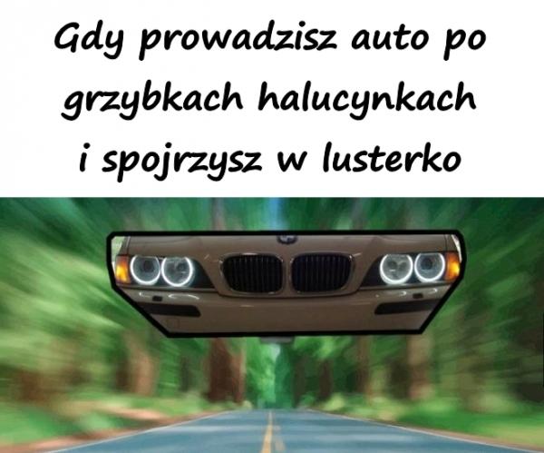 Gdy prowadzisz auto po grzybkach halucynkach i spojrzysz w