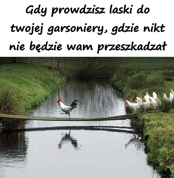 Gdy prowdzisz laski do twojej garsoniery, gdzie nikt nie