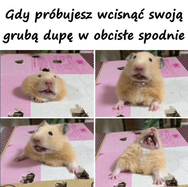 Gdy próbujesz wcisnąć swoją grubą dupę w obcisłe spodnie