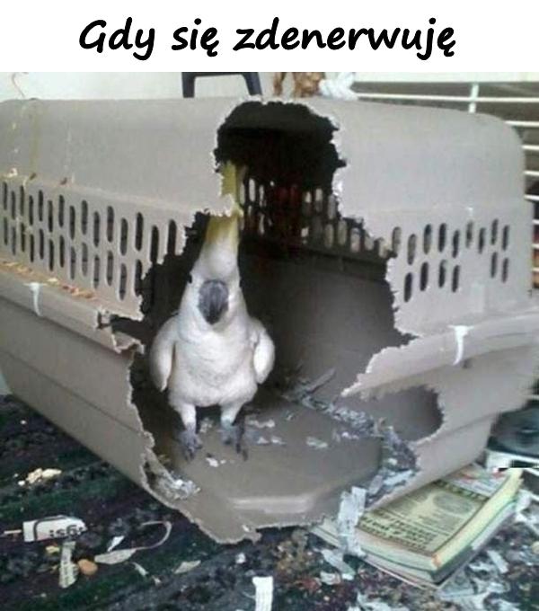 Gdy się zdenerwuję