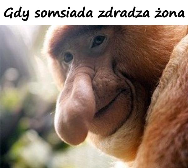 Gdy somsiada zdradza żona