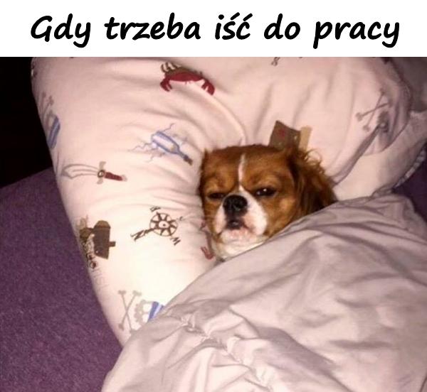 Gdy trzeba iść do pracy