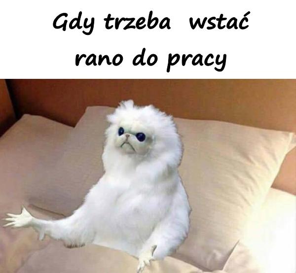 Gdy trzeba wstać rano do pracy