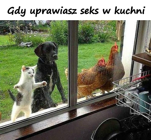 Gdy uprawiasz seks w kuchni