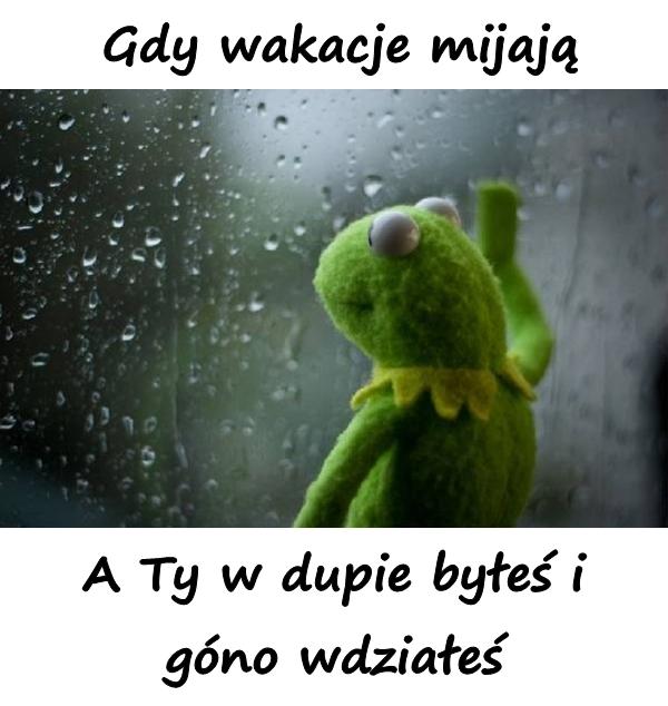 Gdy wakacje mijają. A Ty w dupie byłeś i góno wdziałeś