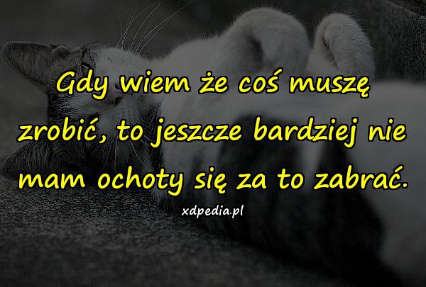 Gdy wiem że coś muszę zrobić, to jeszcze bardziej nie mam