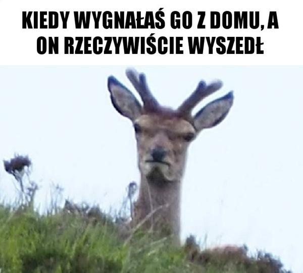 Gdy wygnałaś go z domu, a on rzeczywiście wyszedł