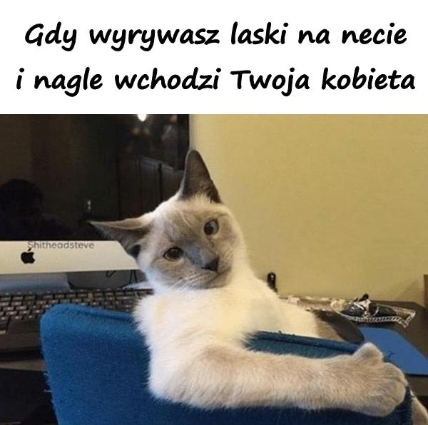 Gdy wyrywasz laski na necie i nagle wchodzi Twoja kobieta