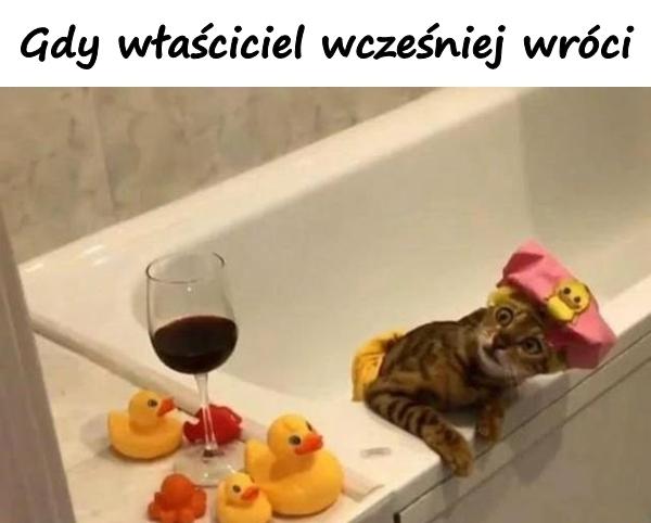 Gdy właściciel wcześniej wróci