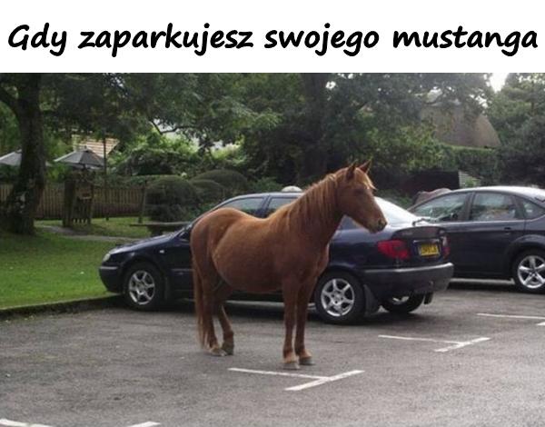 Gdy zaparkujesz swojego mustanga