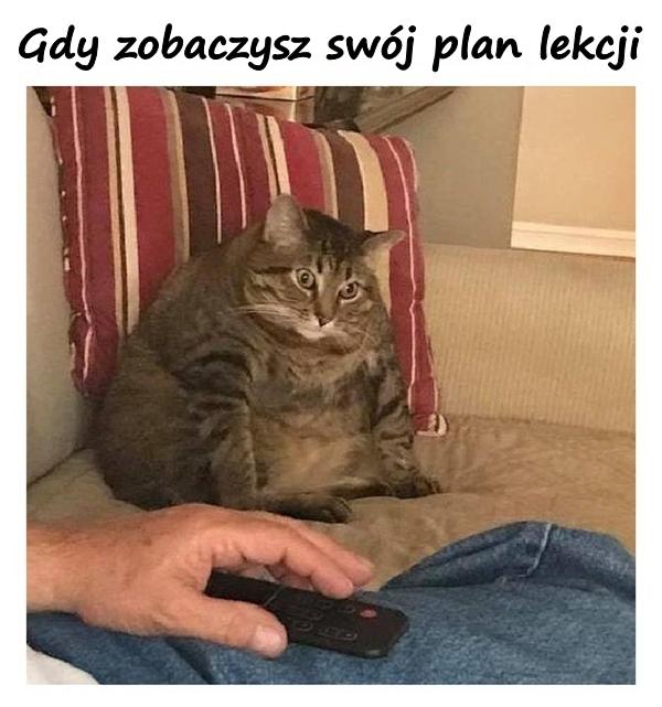 Gdy zobaczysz swój plan lekcji