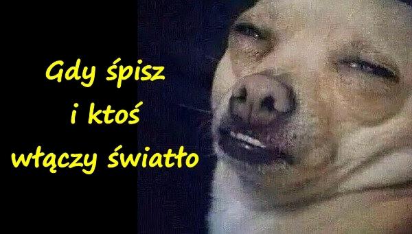 Gdy śpisz i ktoś włączy światło