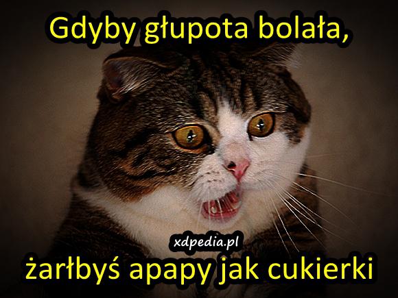 Gdyby głupota bolała, żarłbyś apapy jak cukierki