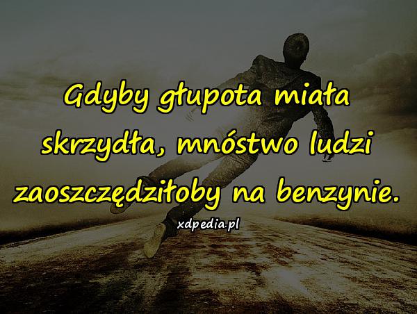 Gdyby głupota miała skrzydła, mnóstwo ludzi zaoszczędziłoby