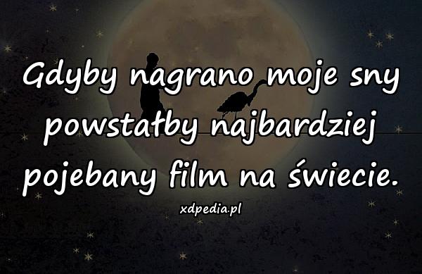 Gdyby nagrano moje sny powstałby najbardziej pojebany film