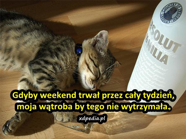 Gdyby weekend trwał przez cały tydzień, moja wątroba by