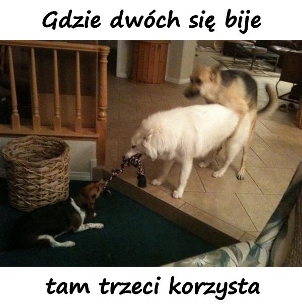 Gdzie dwóch się bije tam trzeci korzysta