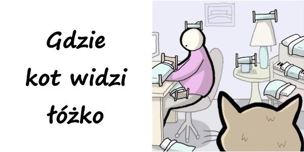 Gdzie kot widzi łóżko