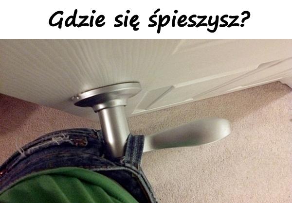 Gdzie się śpieszysz