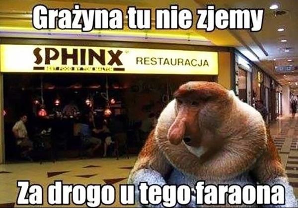 Grażyna tu nie zjemy, za drogo u tego faraona