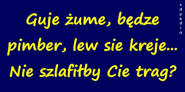 Guje żume, będze pimber, lew sie kreje... Nie szlafiłby Cie