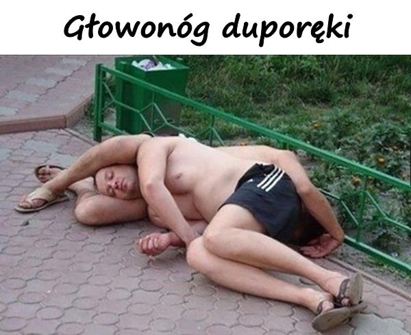 Głowonóg duporęki