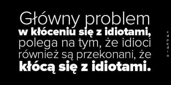 Główny problem w kłóceniu się z idiotami, polega na tym, że