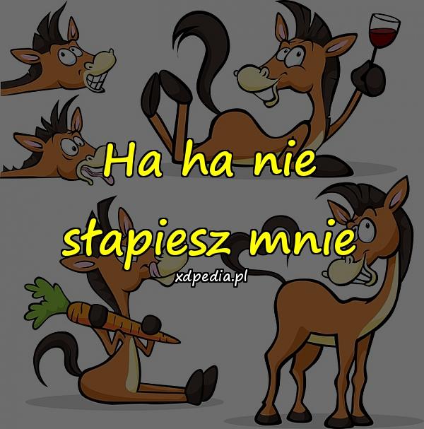 Ha ha nie słapiesz mnie