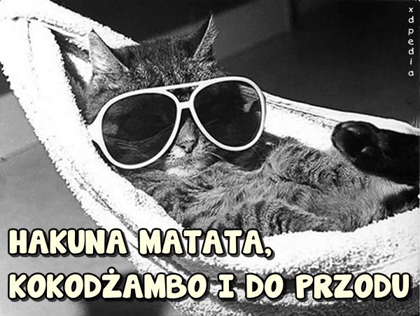 HAKUNA MATATA, KOKODŻAMBO I DO PRZODU