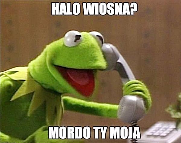 Halo wiosna? Mordo ty moja