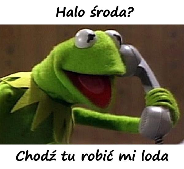 Halo środa? Chodź tu robić mi loda