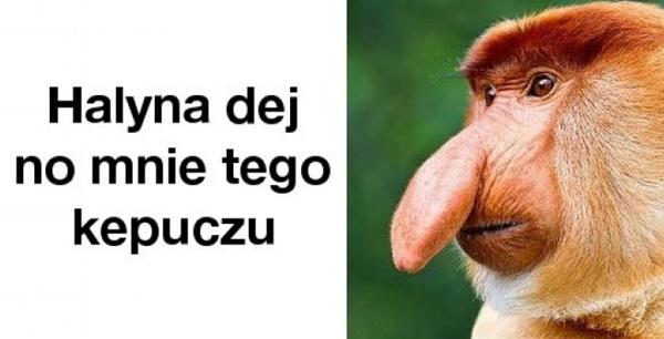 Halyna dej no mnie tego kepuczu