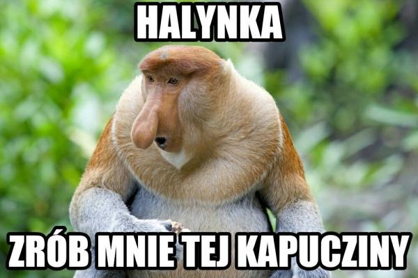 Halynka, zrób mnie tej kapucziny