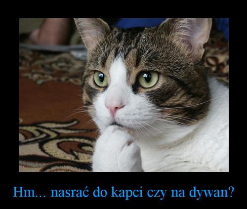 Hm... nasrać do kapci czy na dywan