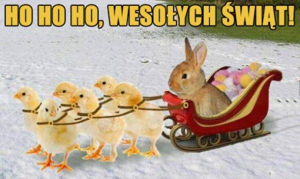 Ho ho ho wesołych świąt