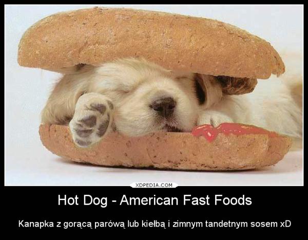 Hot dog – American Fast Foods Kanapka z gorącą parówą lub