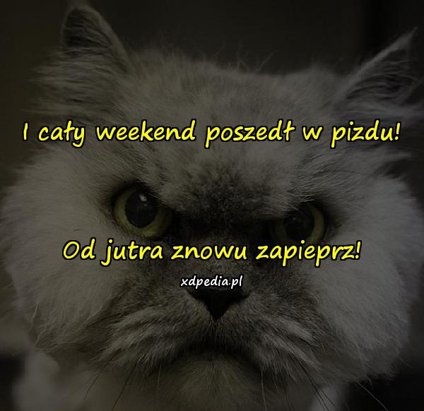 I cały weekend poszedł w pizdu! Od jutra znowu zapieprz